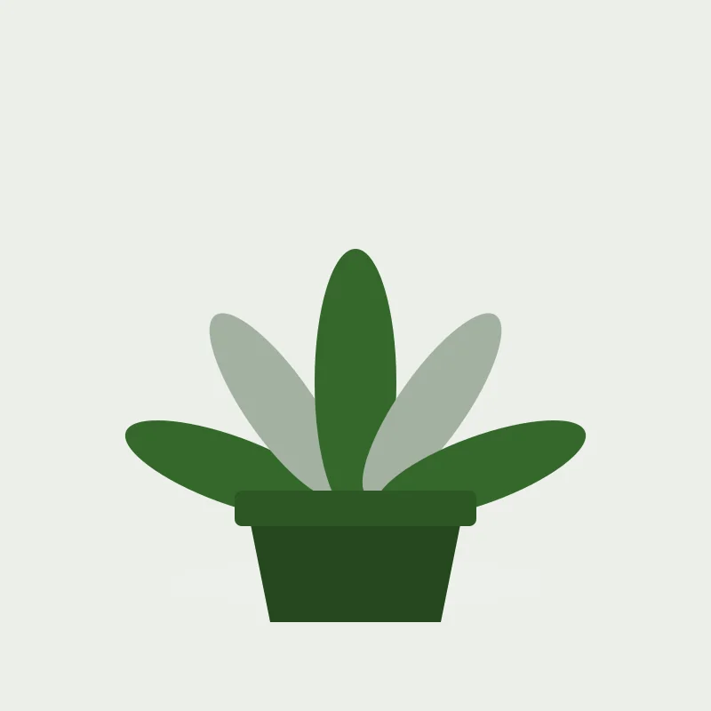 A potted plant with five broad green leaves