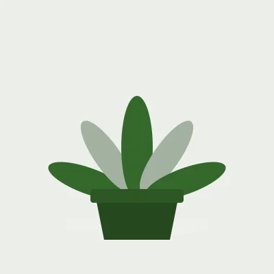 A potted plant with five broad green leaves
